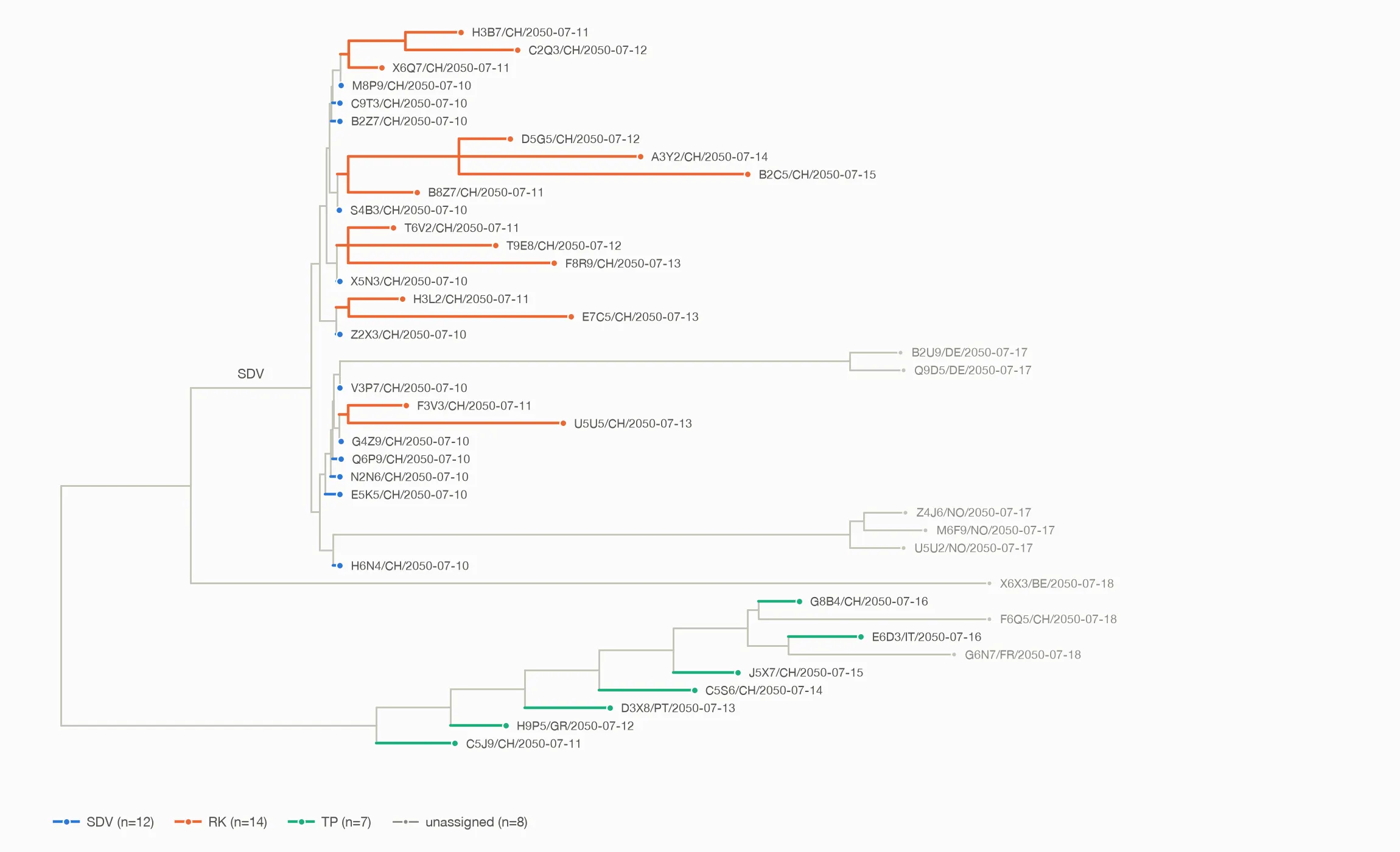 A phylogenetic tree of early SEMViD sequences, each tip labelled with a sample code, a country and a collection date between 10 and 18 July 2050. Branches are coloured by cluster: SDV with 12 sequences, RK with 14, TP with 7, and 8 sequences unassigned. Most tips are Swiss; the rest come from Germany, Norway, Belgium, Italy, France, Portugal and Greece.