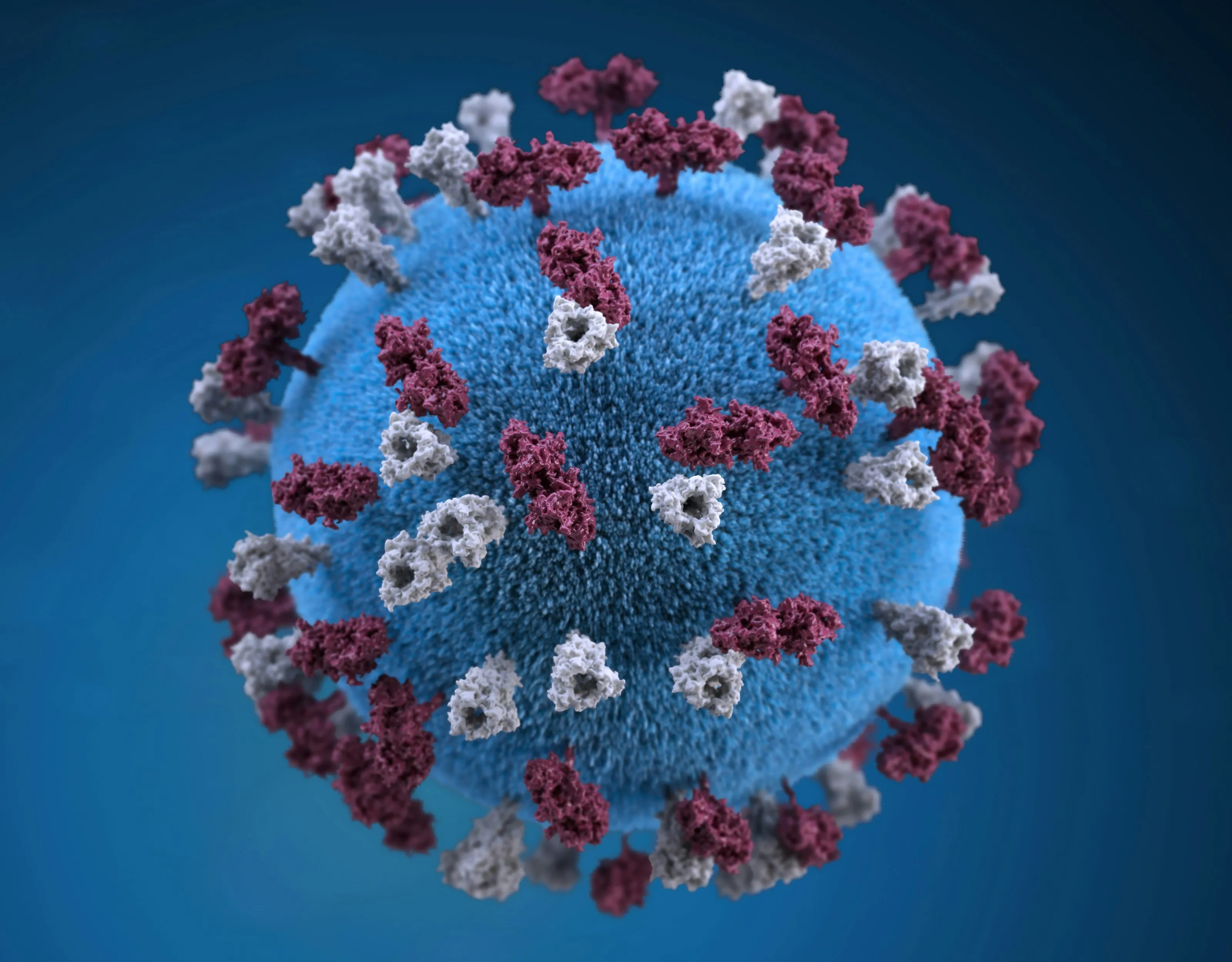 A three-dimensional illustration of a virus particle: a textured blue sphere studded with dark red and white protein spikes, against a blue background.